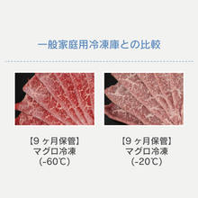 画像をギャラリービューアに読み込む, 【配送無料】ダイレイ ぐるめBOX GBS-50eco &速凍くんセット